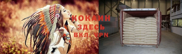 герыч Алексин